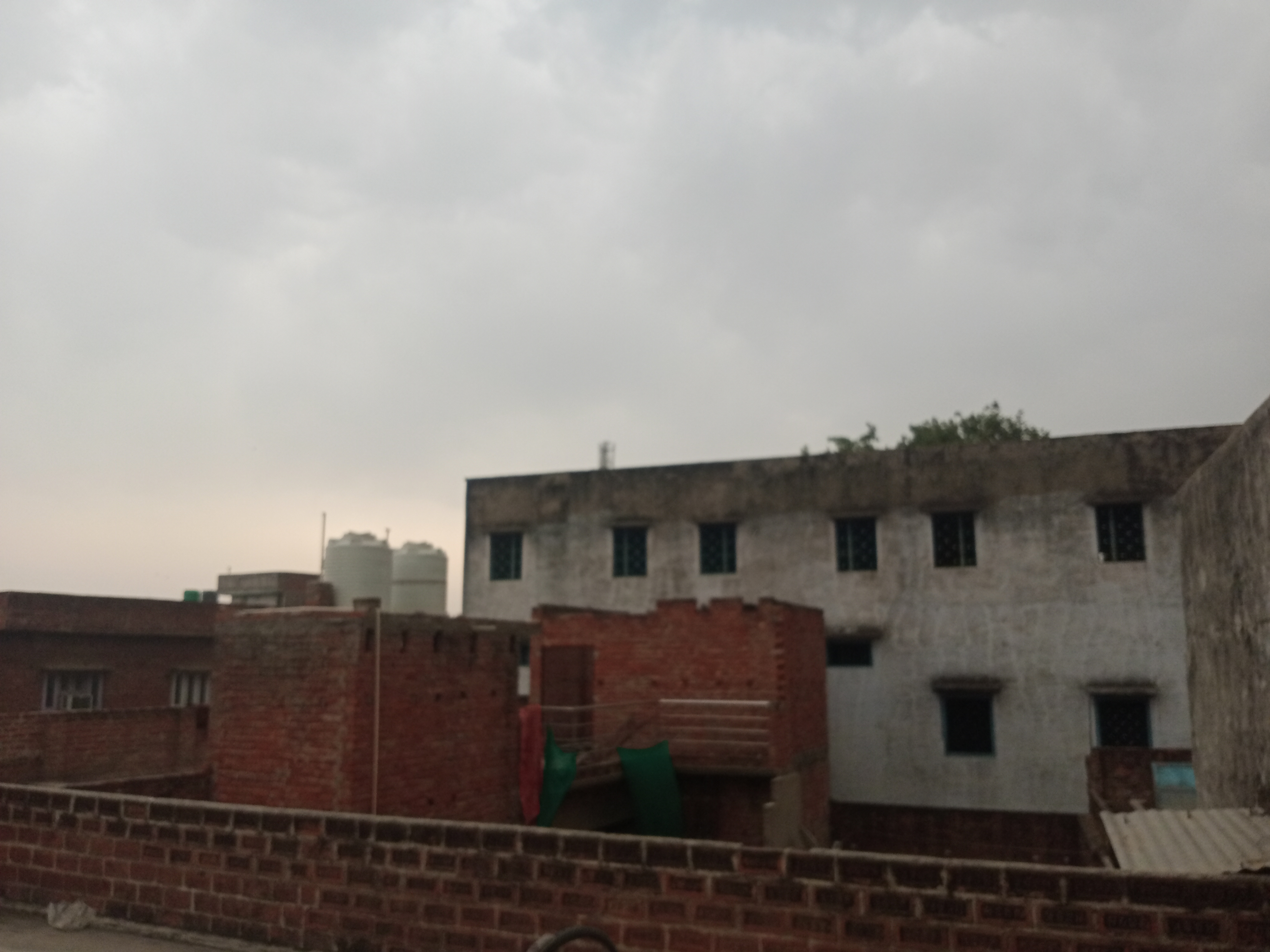 IMG20230423142723.jpg