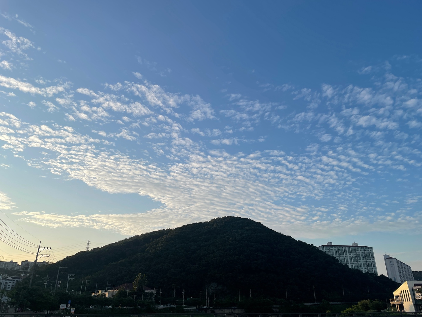 KakaoTalk_20220728_091022385.jpg
