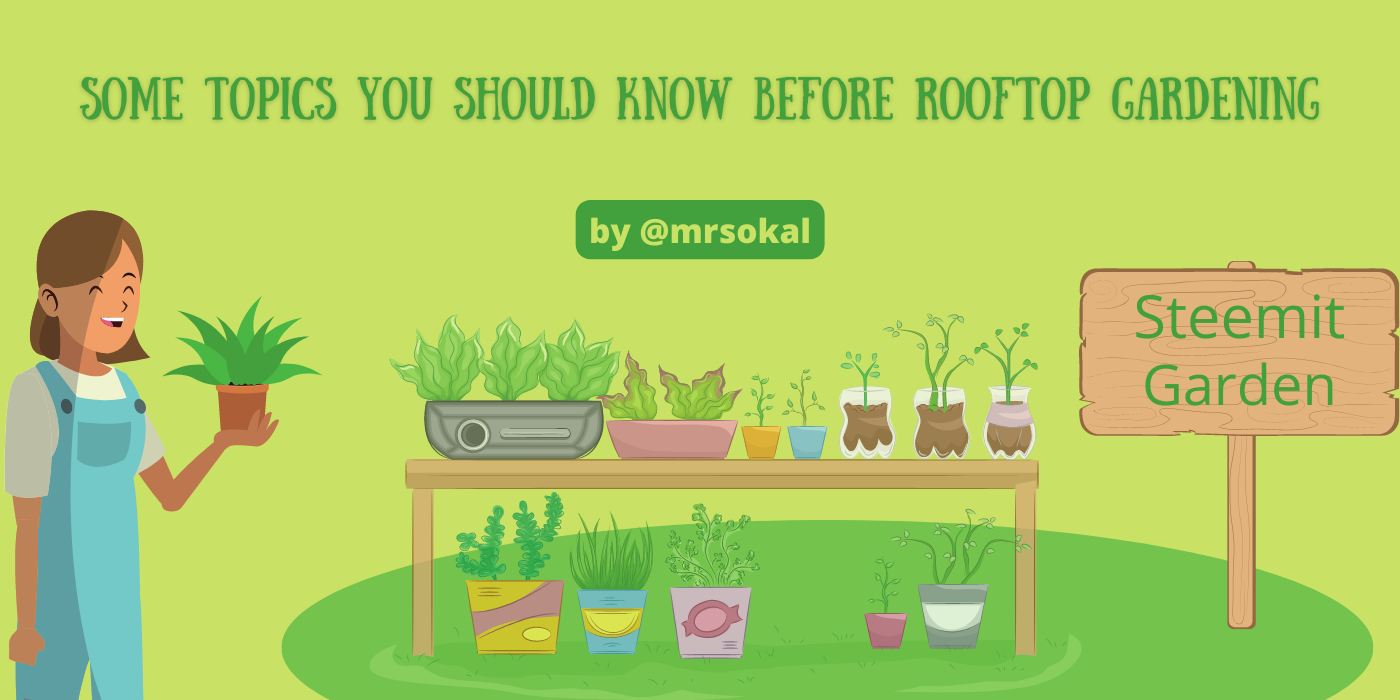 garden (9).png