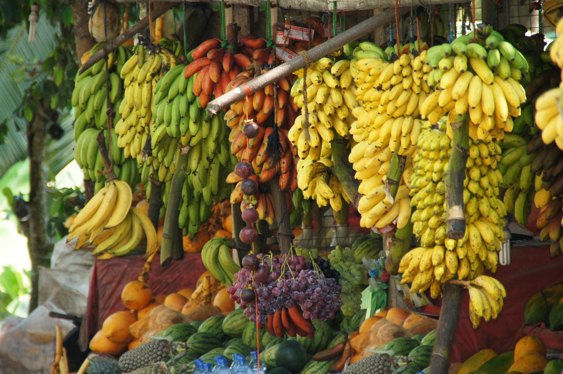fruit-4734469_1920.jpg