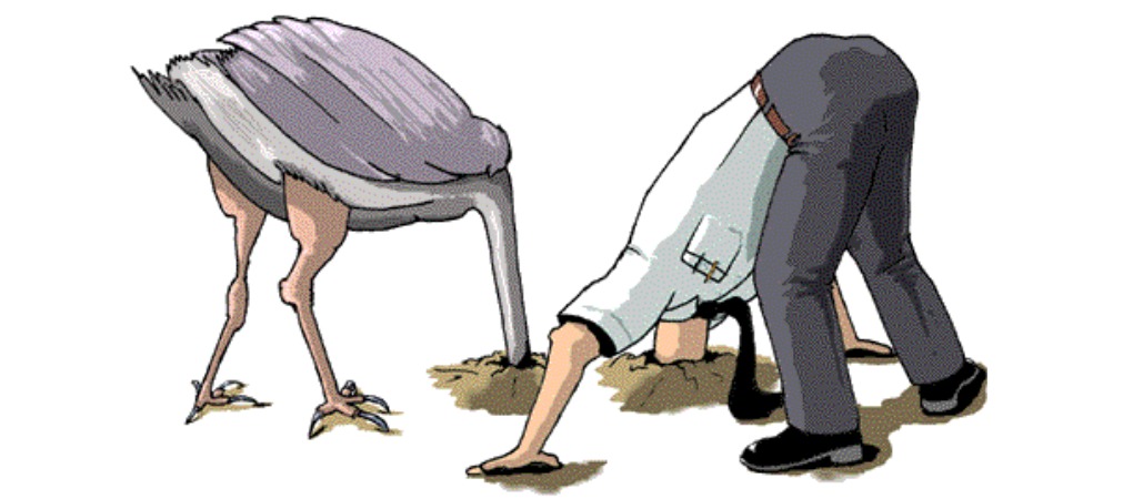 ostrich_effect II.jpg