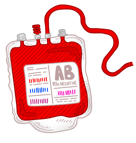 Bolsa de sangre1.png