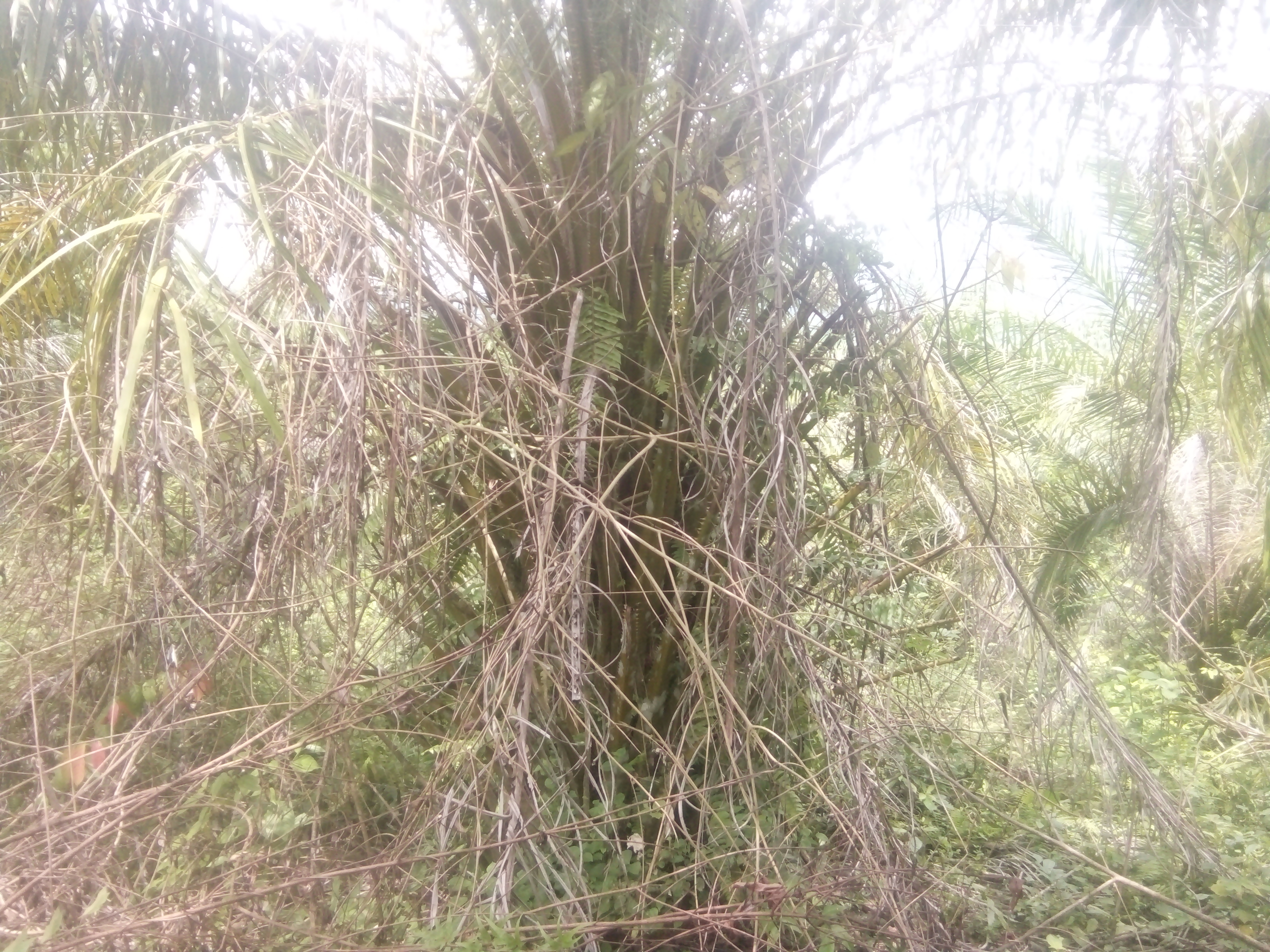 IMG20220601115157.jpg