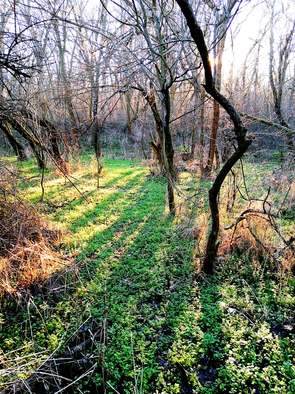IMG_20220117_215437.jpg