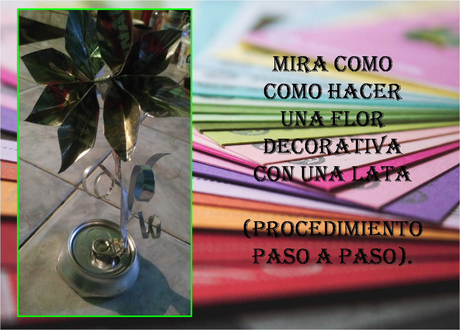 portada.png