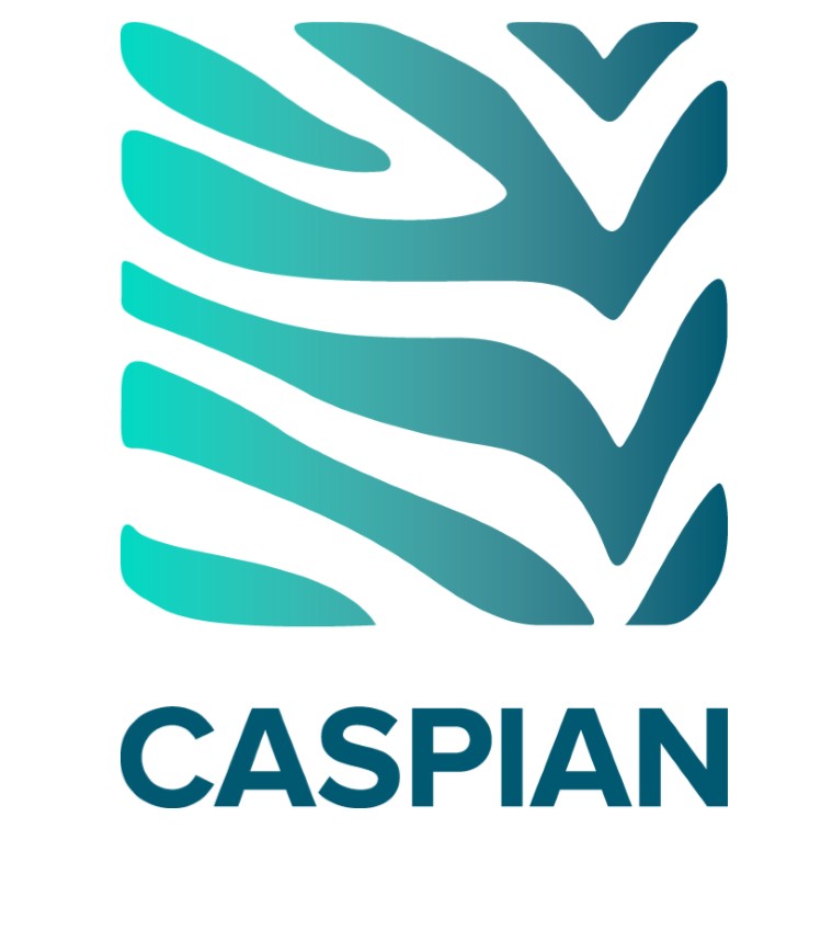 Caspian. Caspian logo. Caspian trading Centre logo. Caspian лак logo. Caspian Tech QSC.