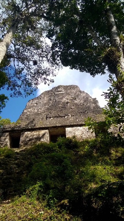 WP_20180302_091.jpg