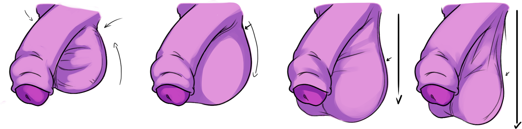 testiculos.png