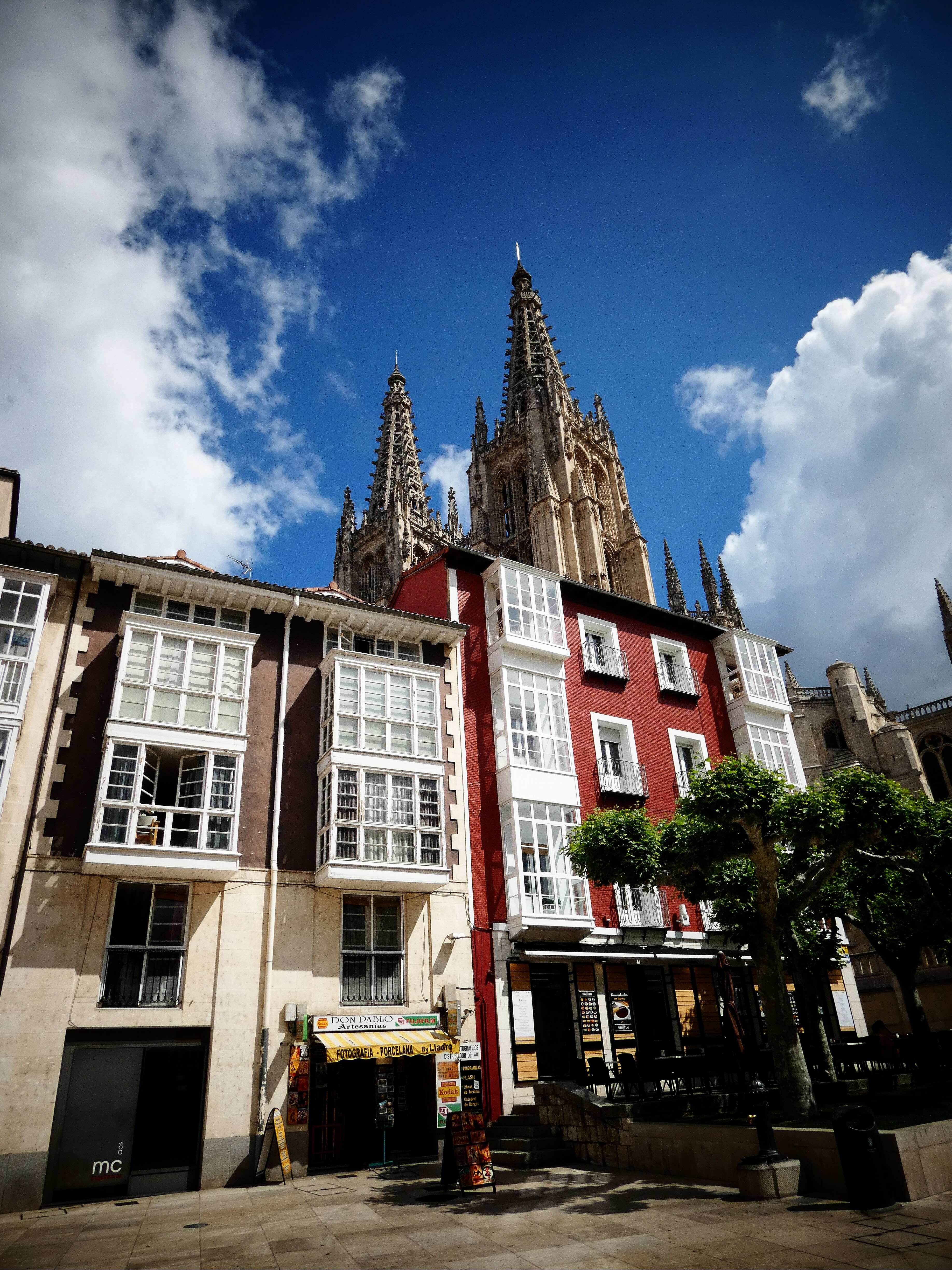 P1180382-6.jpg