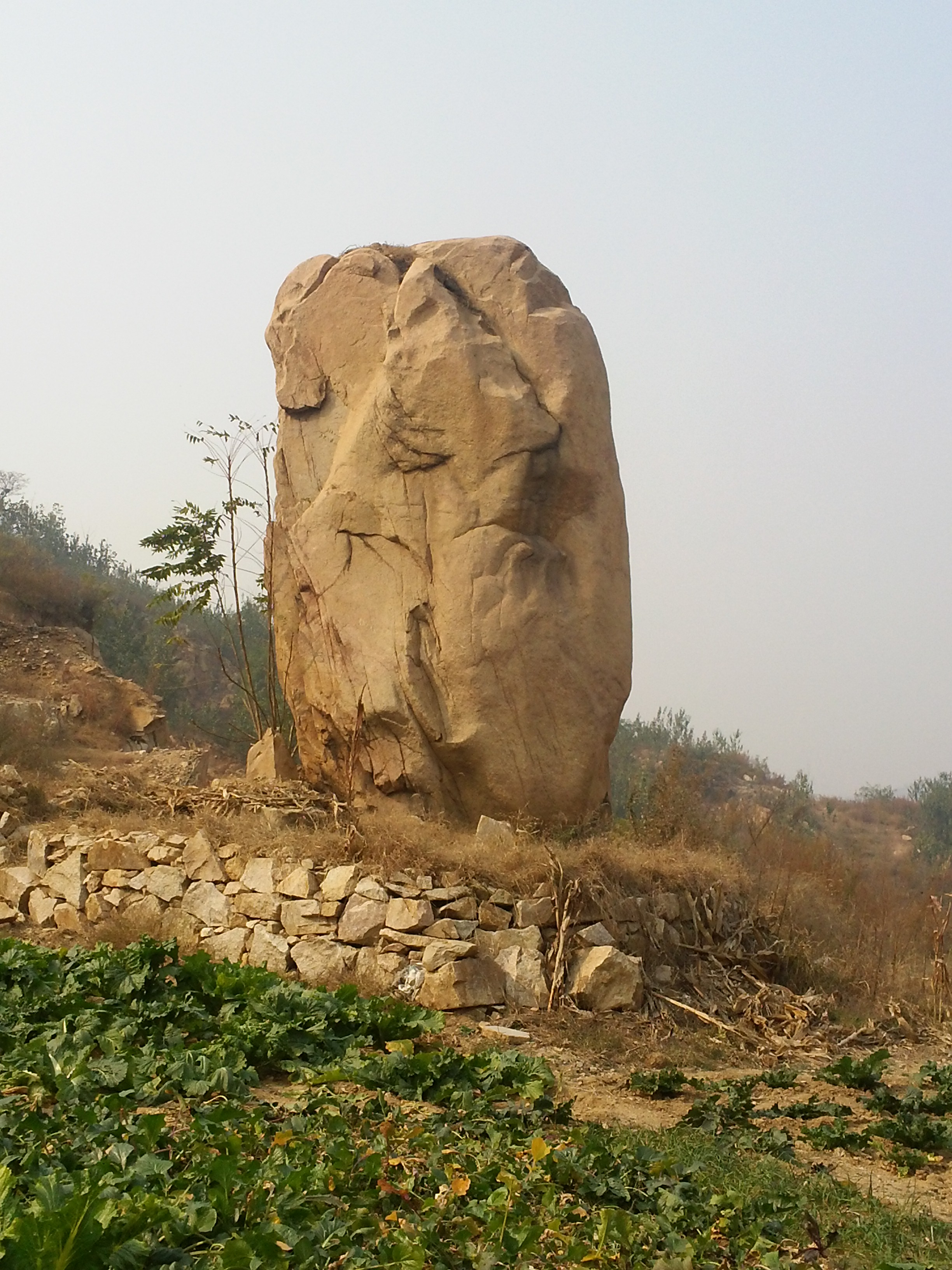 老吴逛集市 Lao Wu’s Wandering around the Country Fair