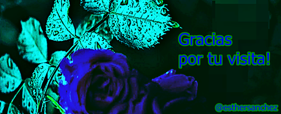 blue rose.png
