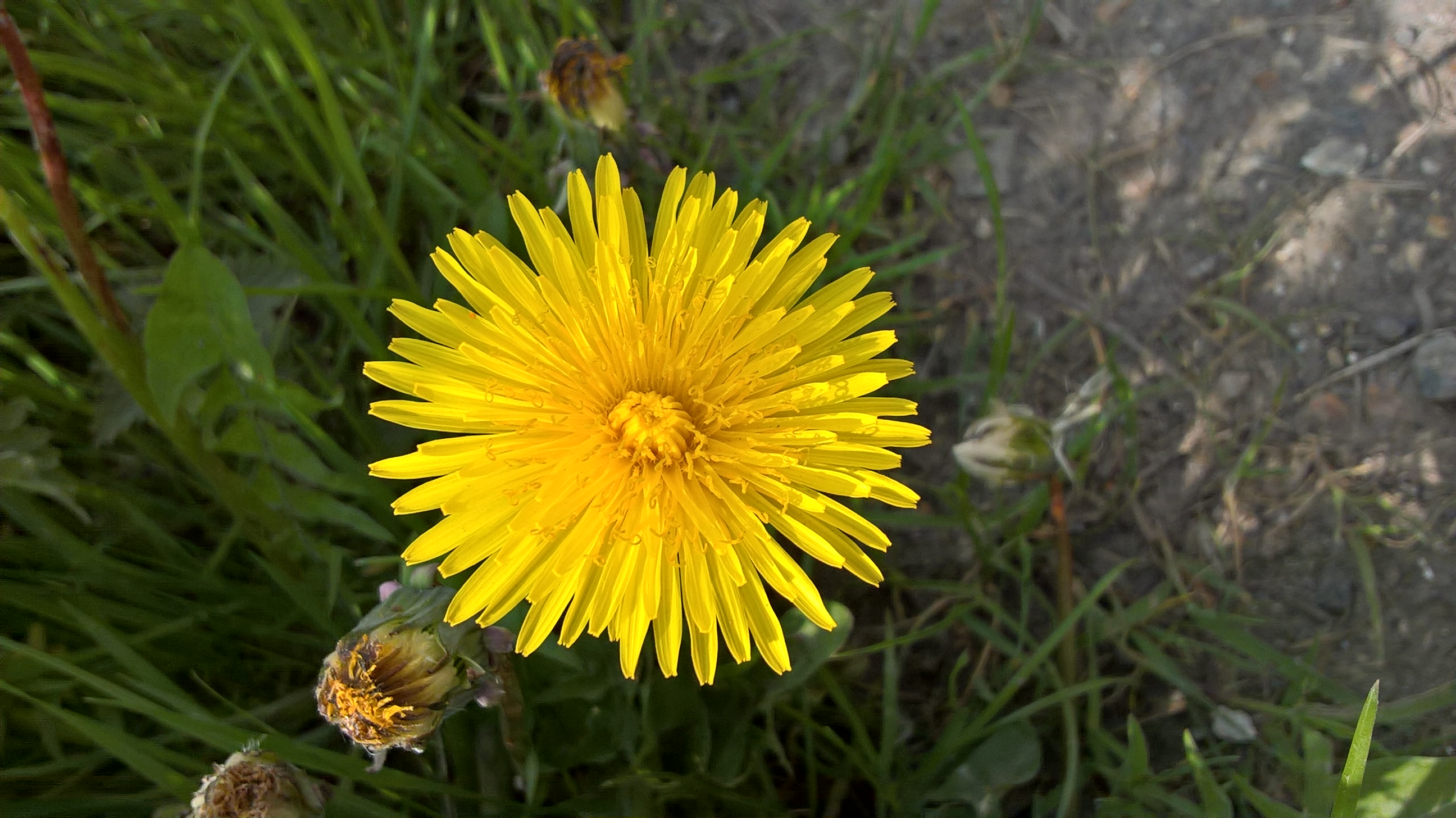 WP_20180508_13_03_33_Pro.jpg