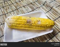 1780055008015106555706907624587.jpg