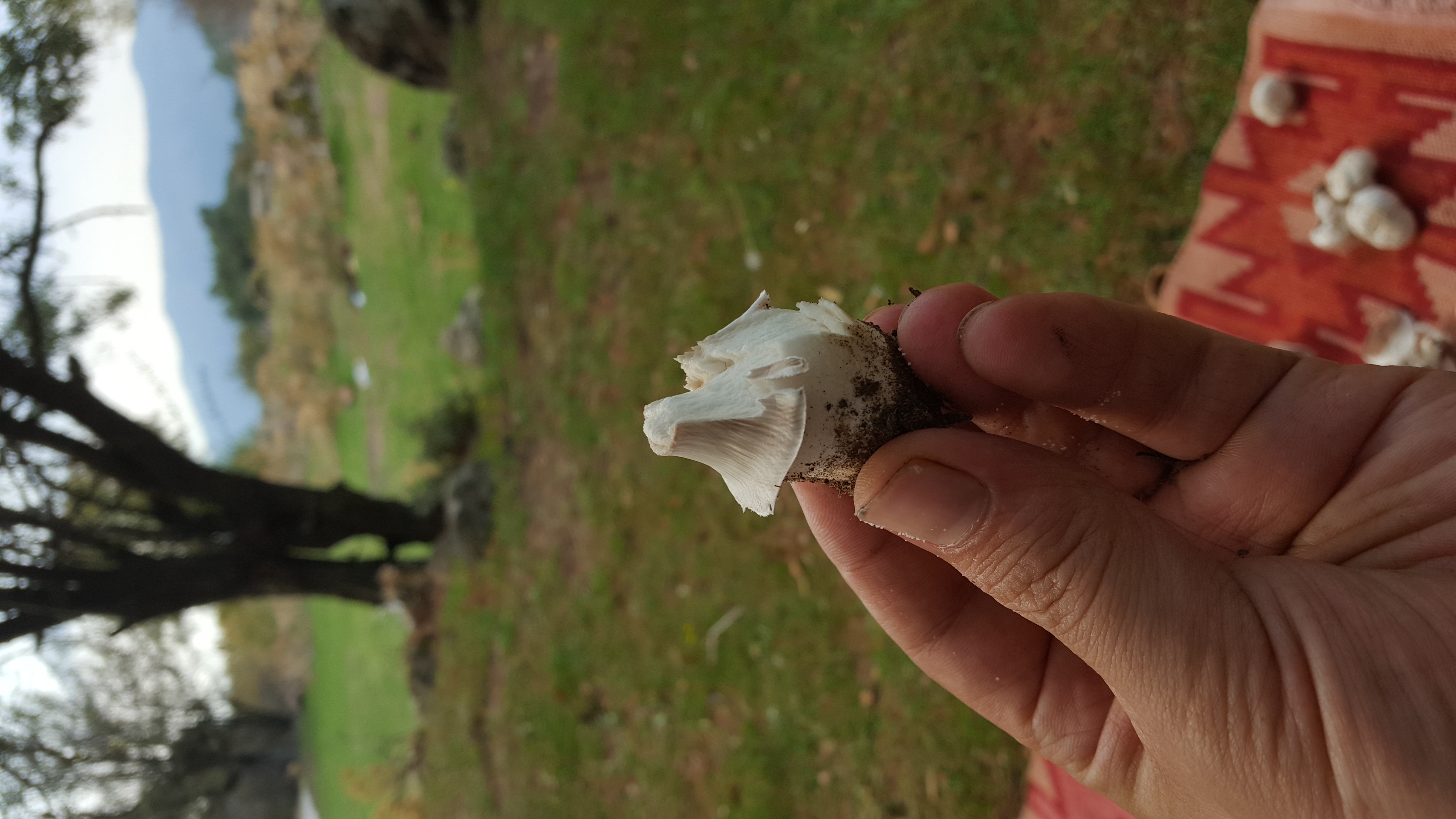 20181014_143803.jpg