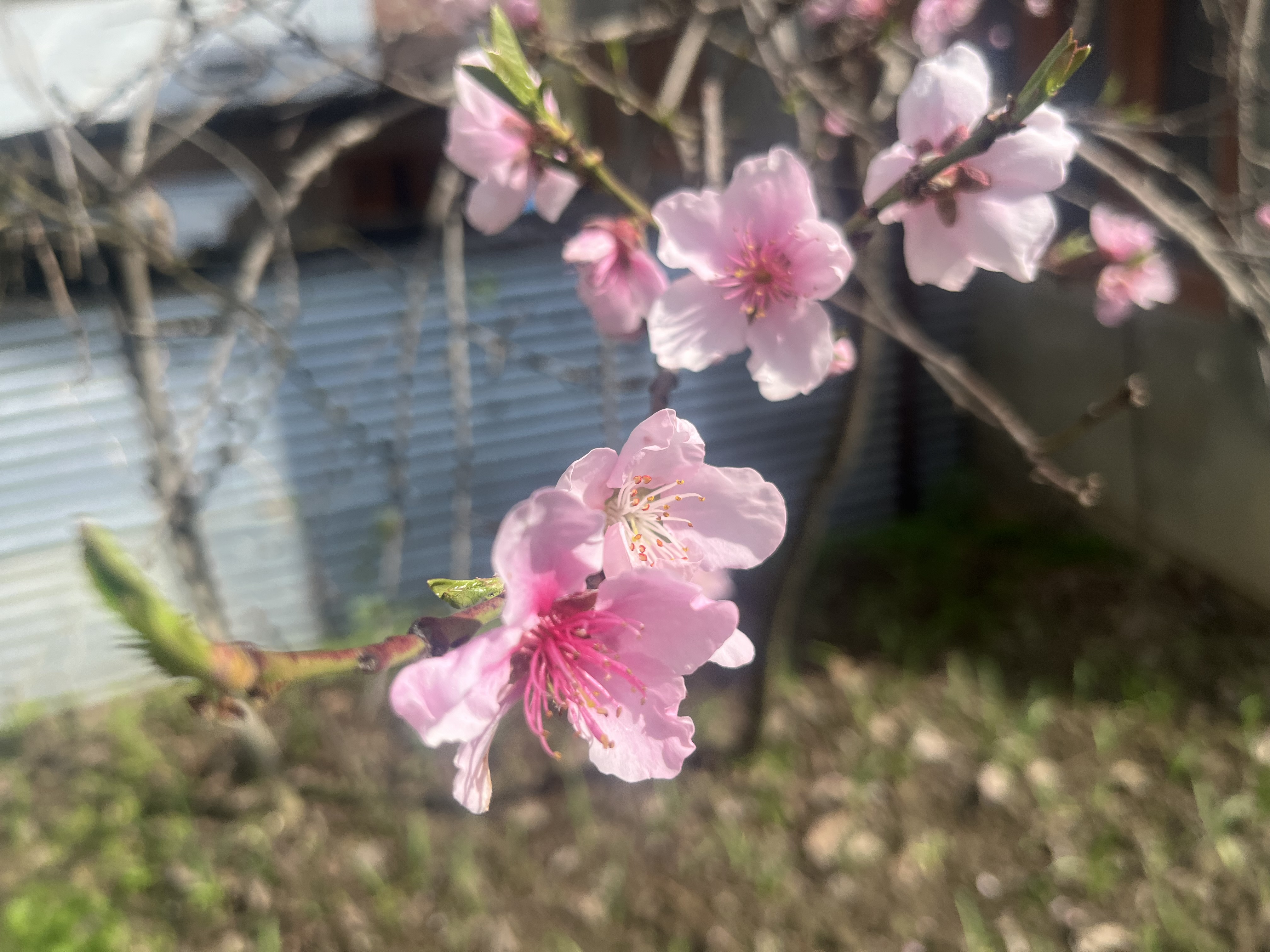 IMG_8172.jpeg