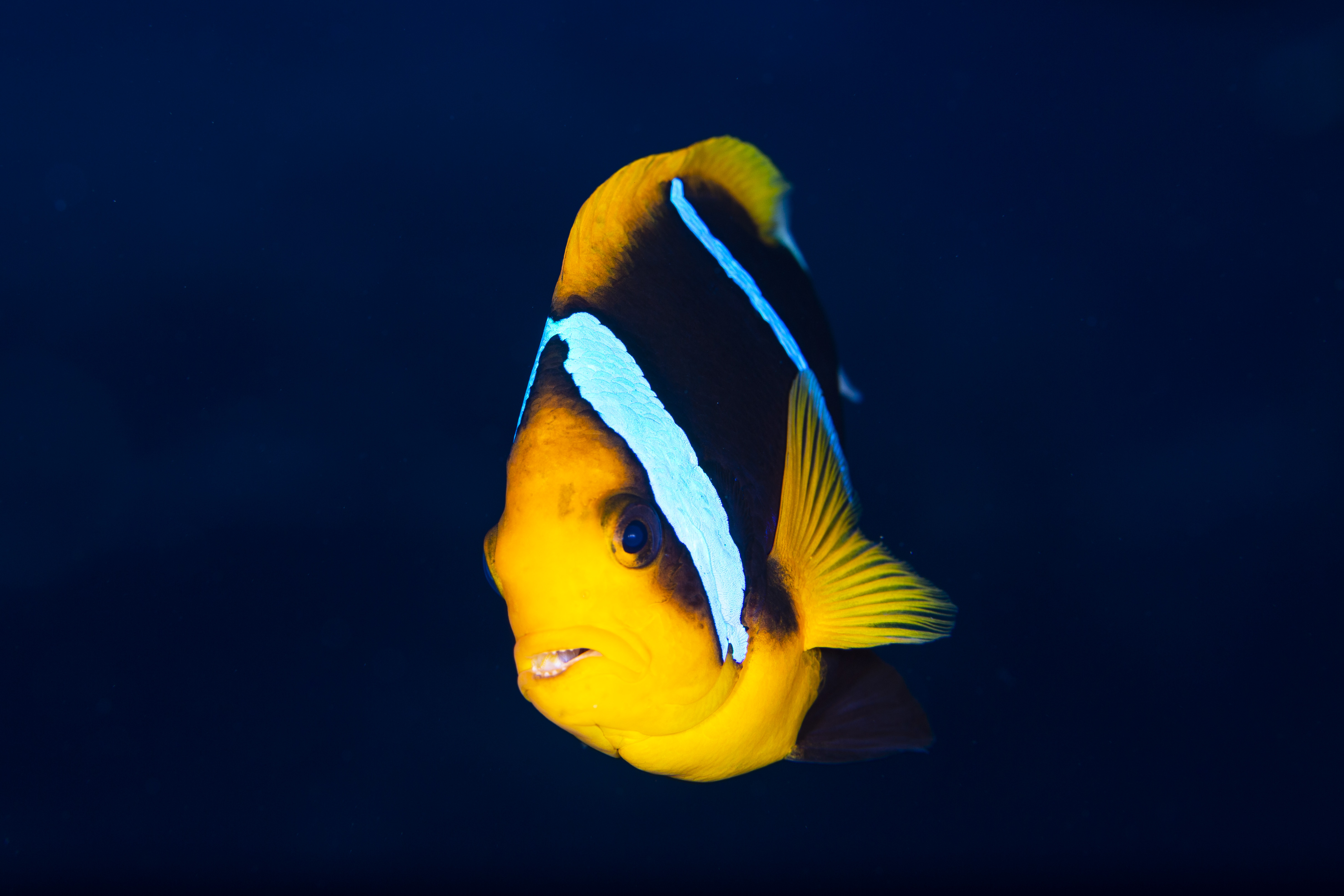 1D2A7713.jpg