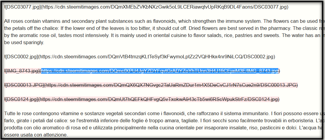 screenshot-scribe.steemian.info-2019-02-21-08-47-26.png
