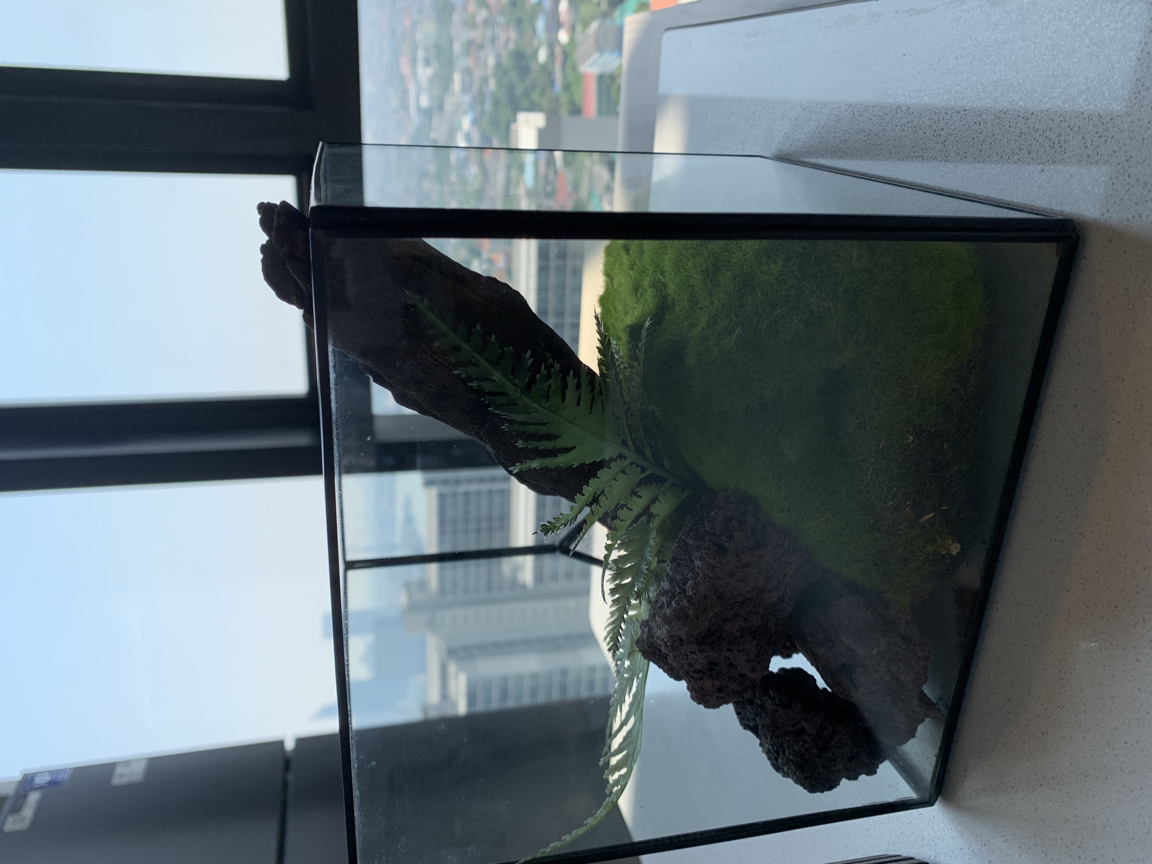 my brother’s condominium25.jpg