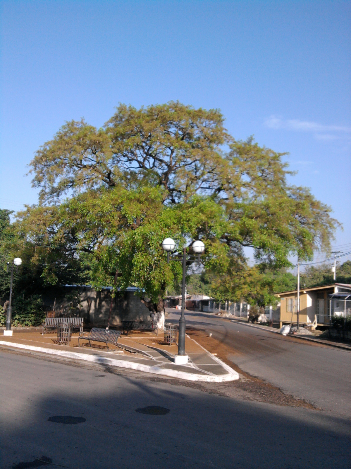 ROBLE PLAZA.jpg