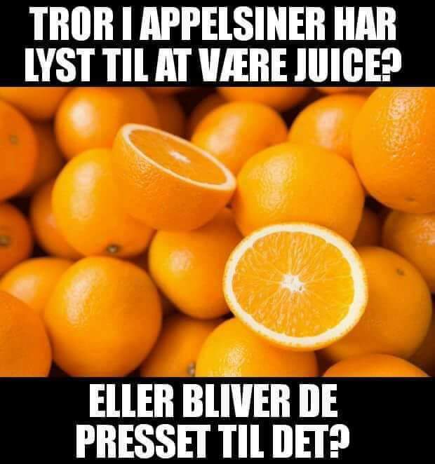 FB_IMG_1582105754962.jpg