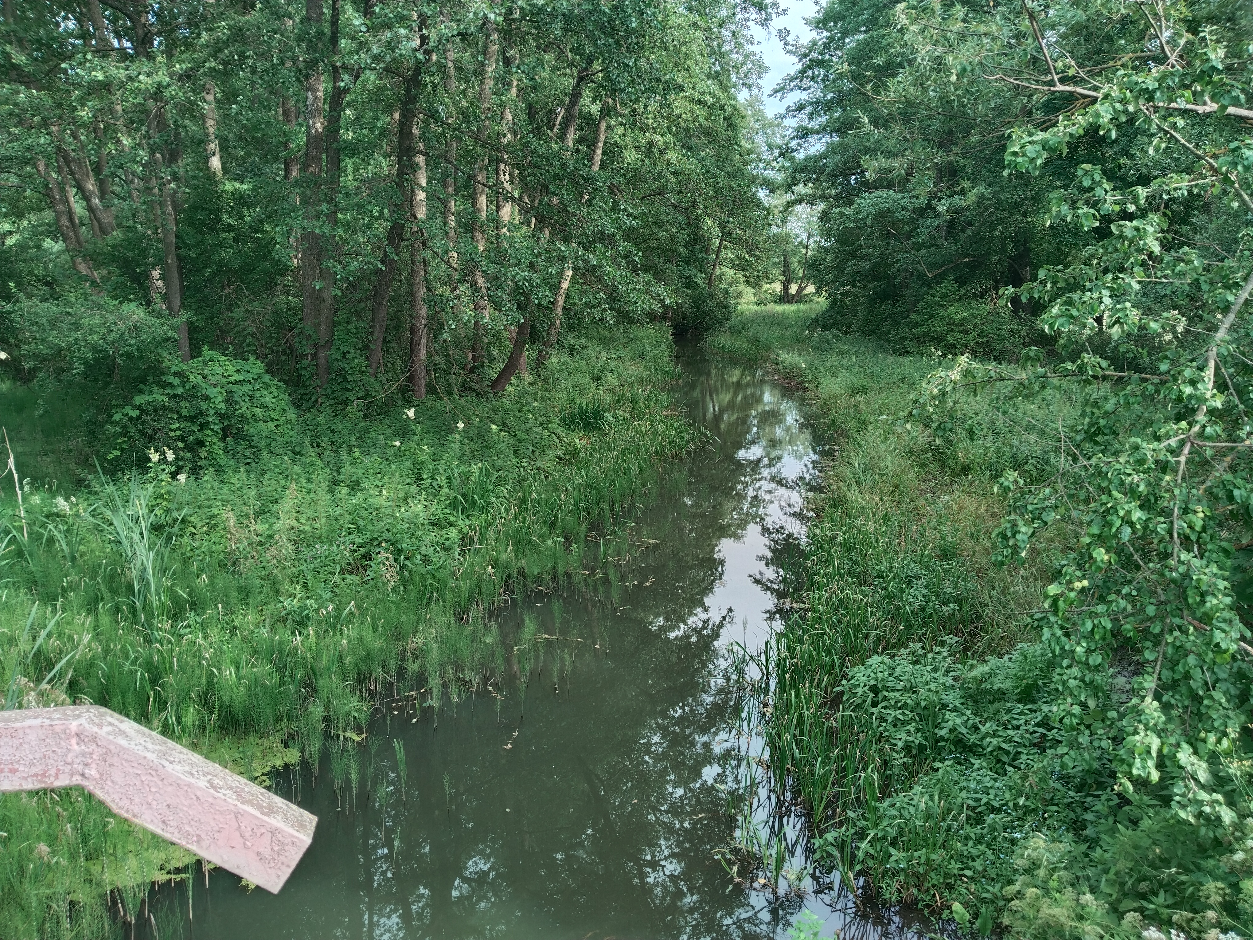 IMG_20250706_174720(1).jpg