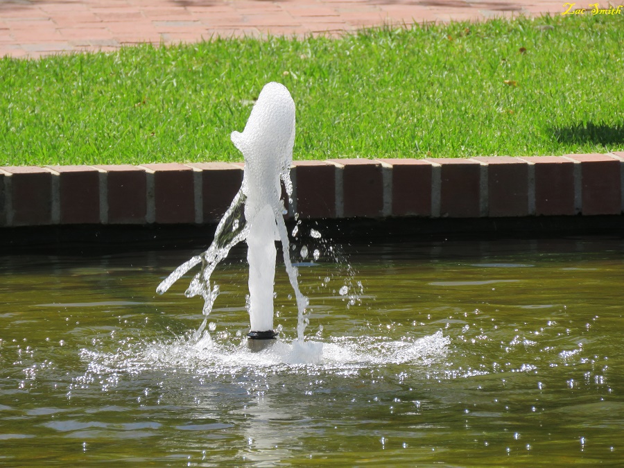 IMG_2965.JPG