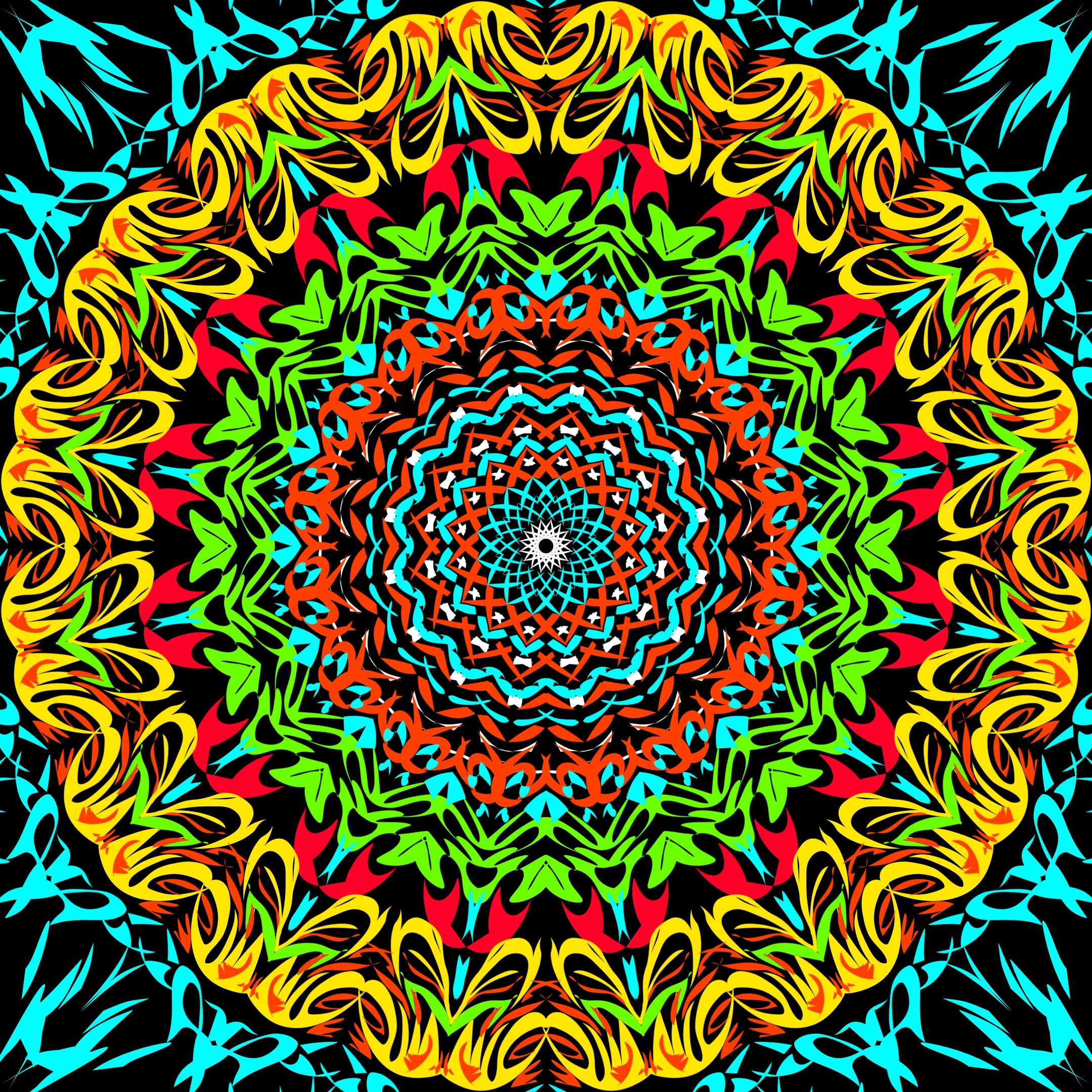 vyybfyvf (20250113035500).jpg