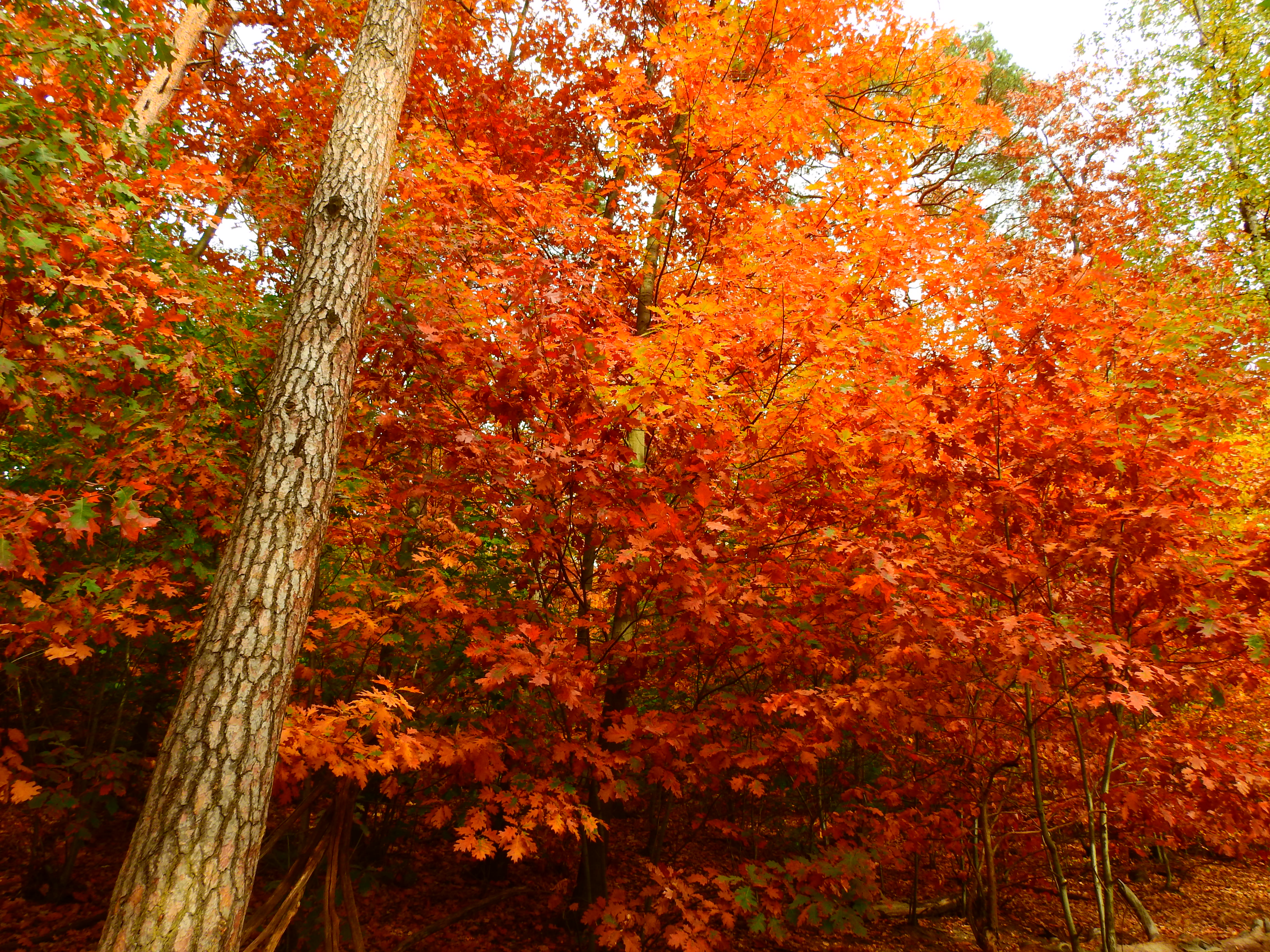 DSCN1722.JPG