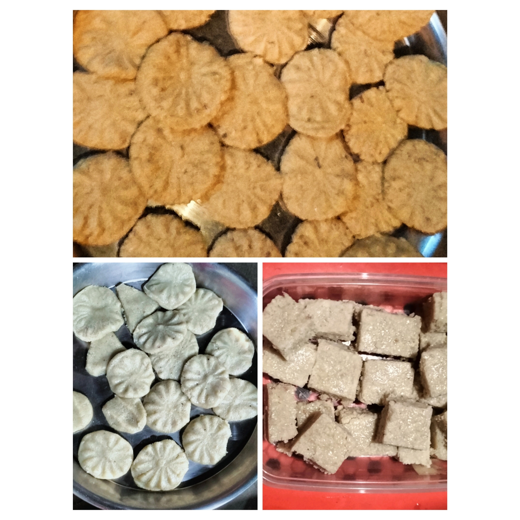 PhotoCollage_1697130431616.jpg