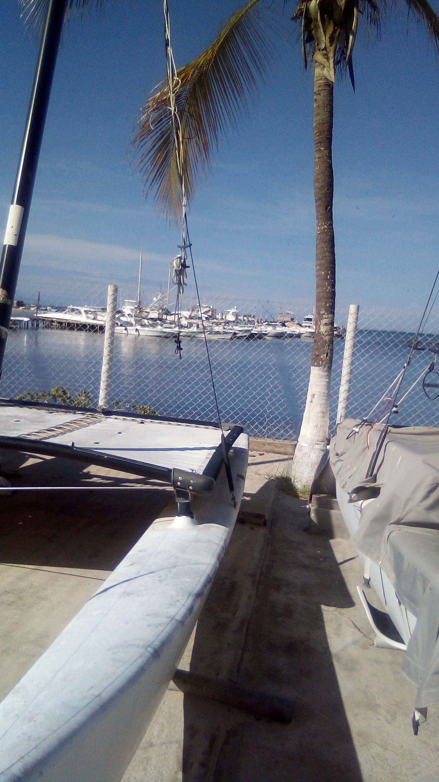 IMG-20200902-WA0002.jpeg