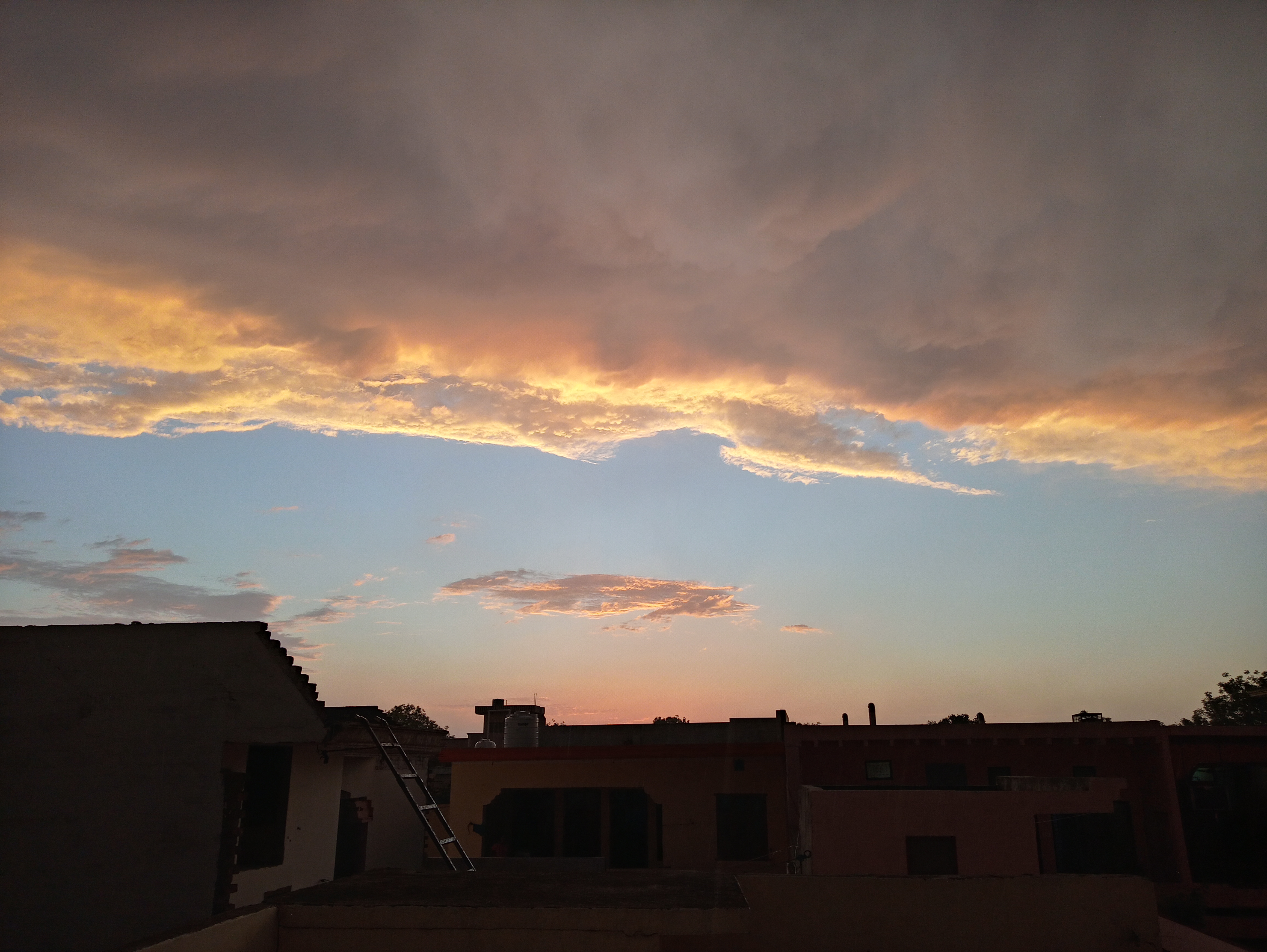 20200514_190356_HDR.jpg