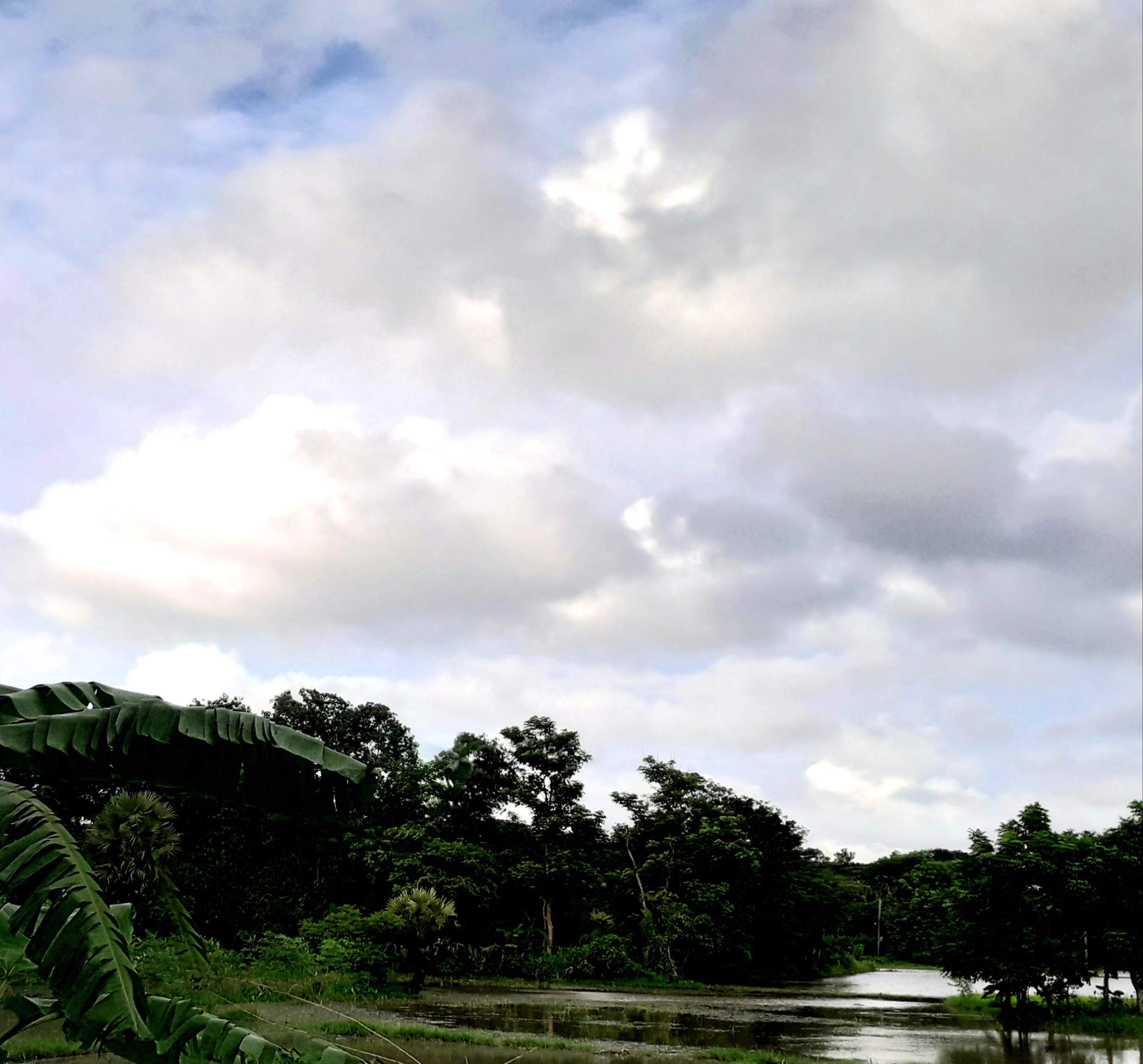 20210820_072015.jpg