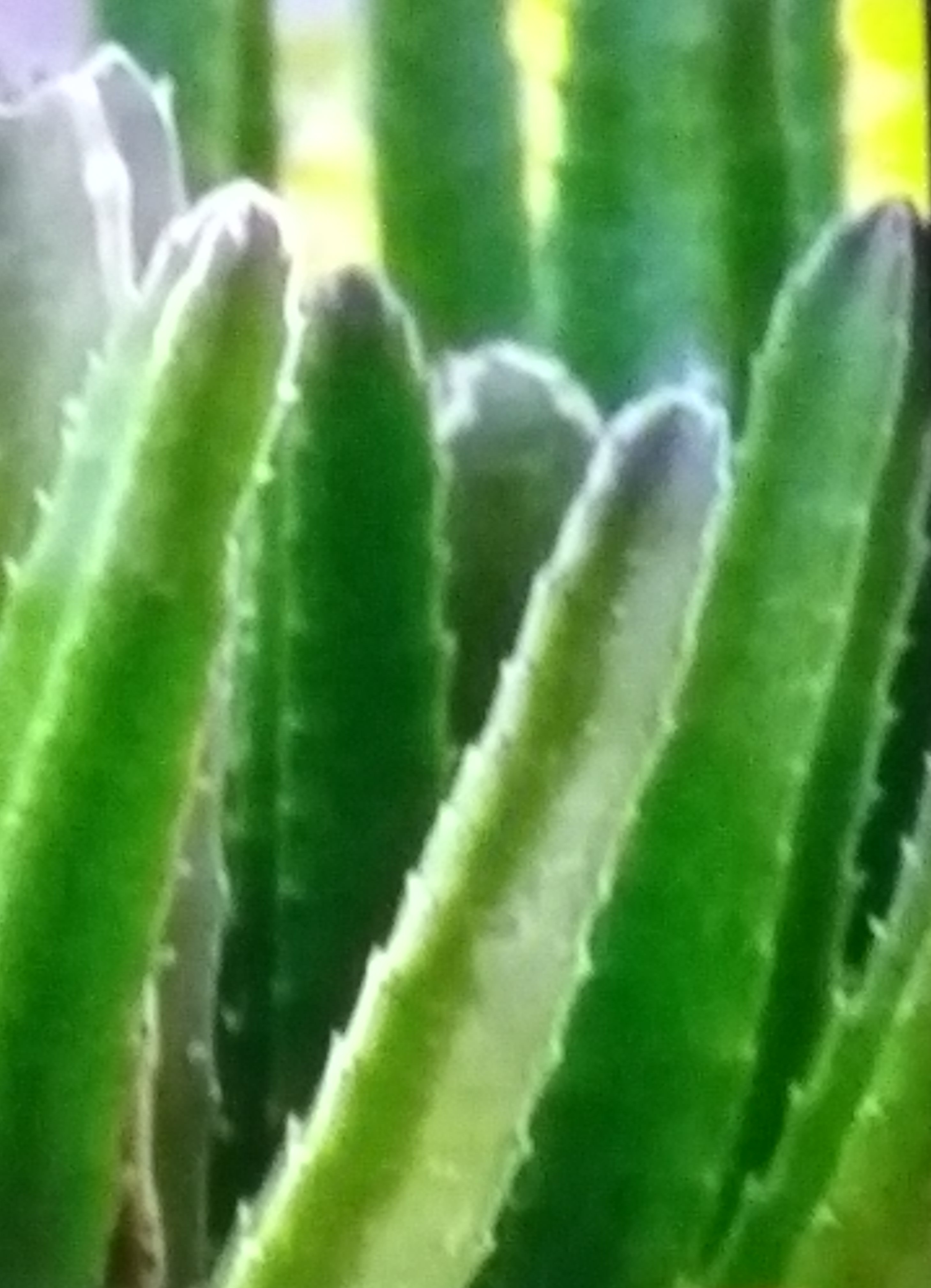 IMG_20180917_132014.jpg