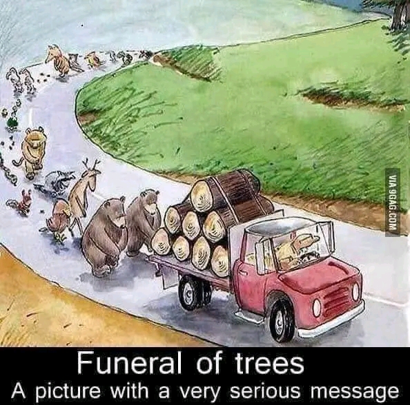 FB_IMG_16598145694857698.jpg