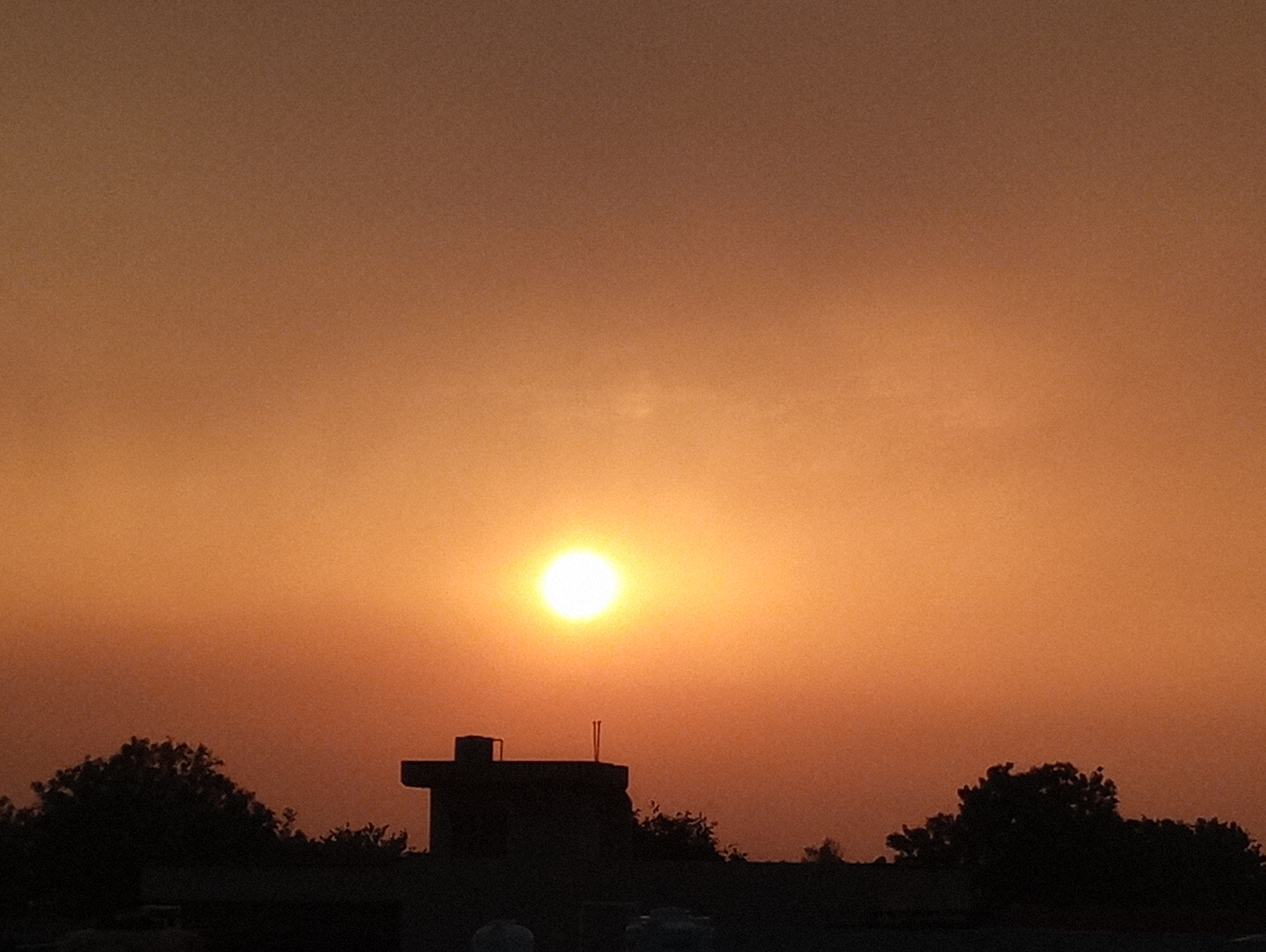 20200514_183831.jpg