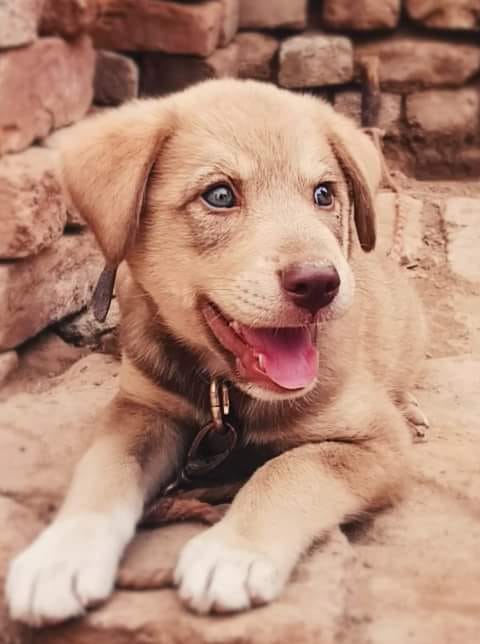 WhatsApp Image 2018-07-04 at 11.34.26 AM (1).jpeg