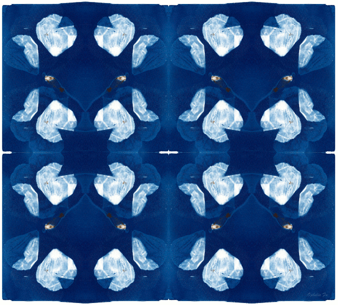 cyanmirEYE680.gif