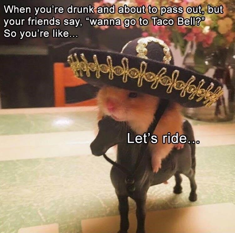 rabbit-going-to-taco-bell-meme.jpeg
