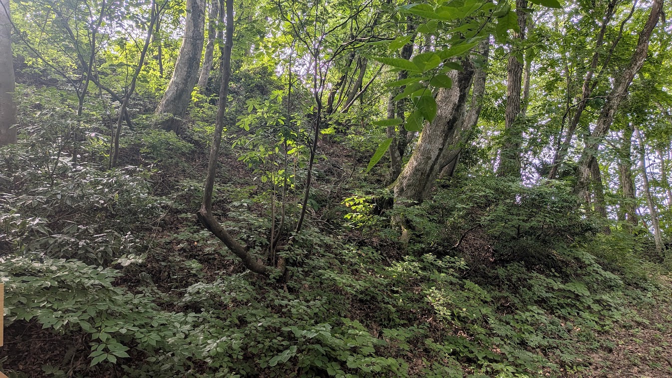 PXL_20260703_233911571.jpg