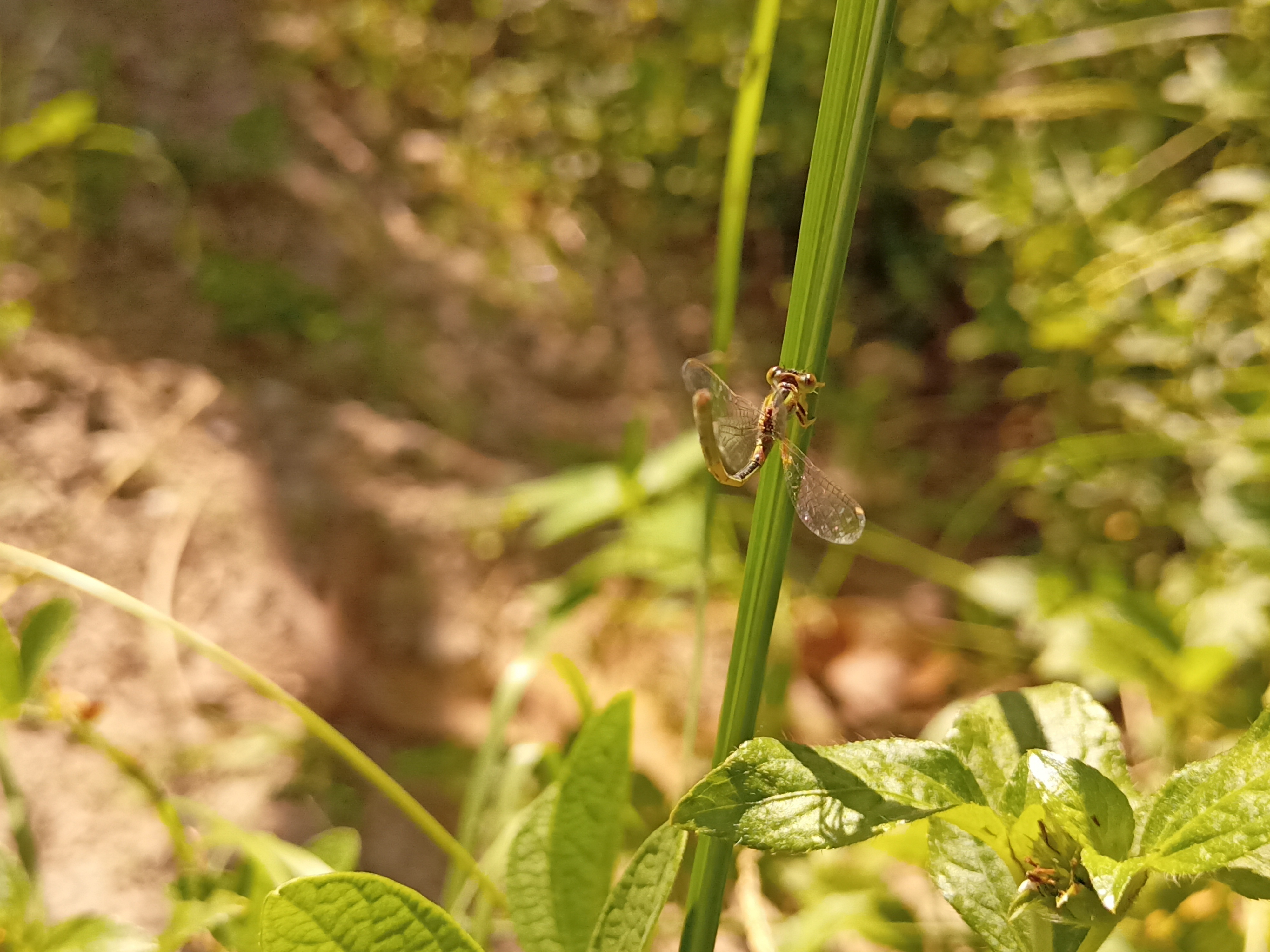 IMG20210426093535.jpg