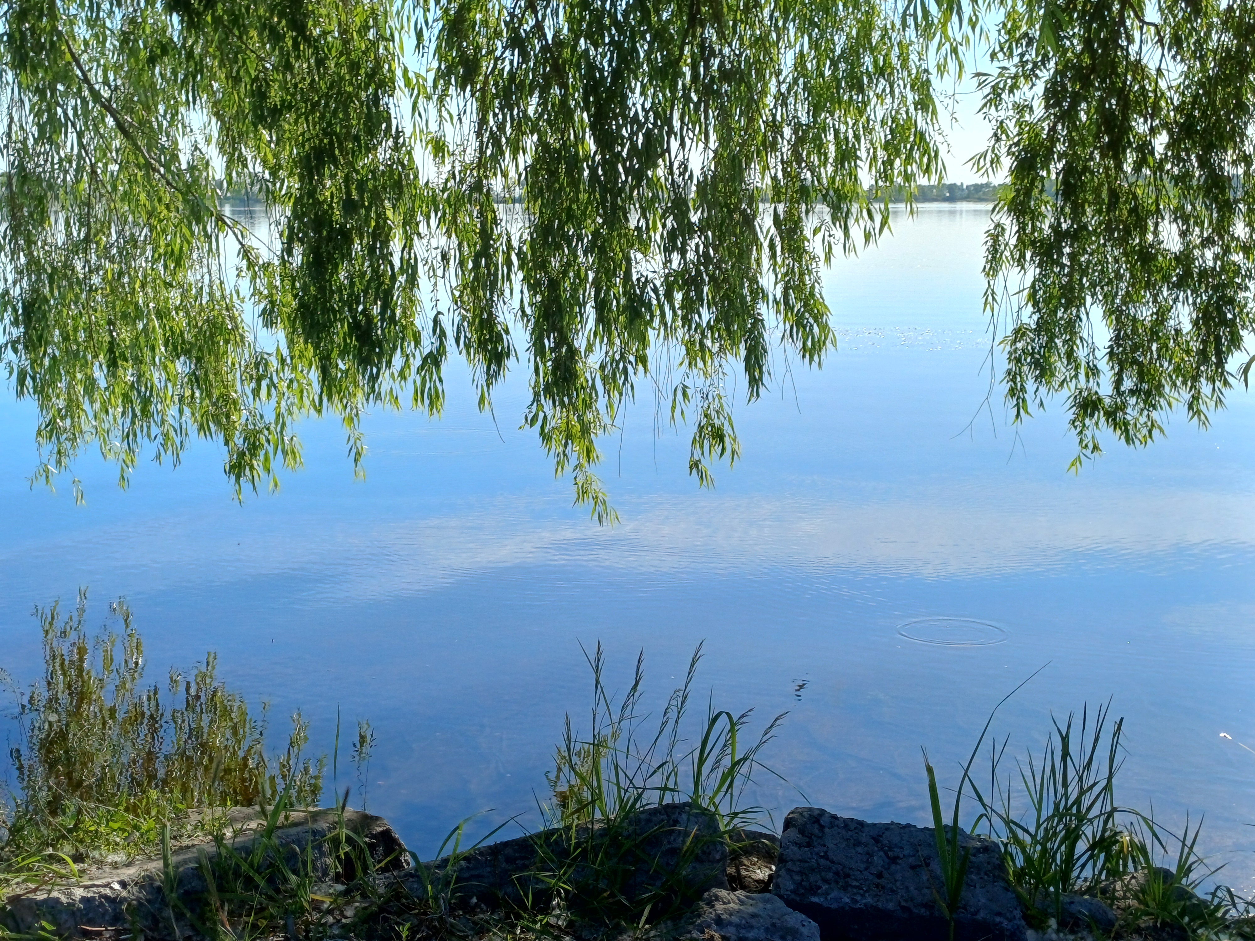 20260602_075352.jpg