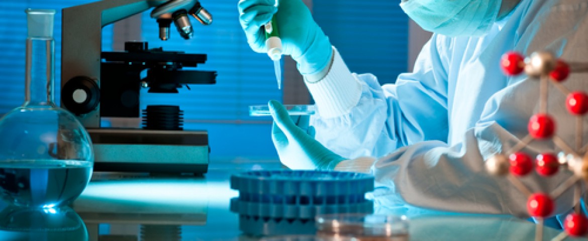 lab-6e0zvej4poy34co35c974vlr480gxdn2durr0gstfq2.jpg