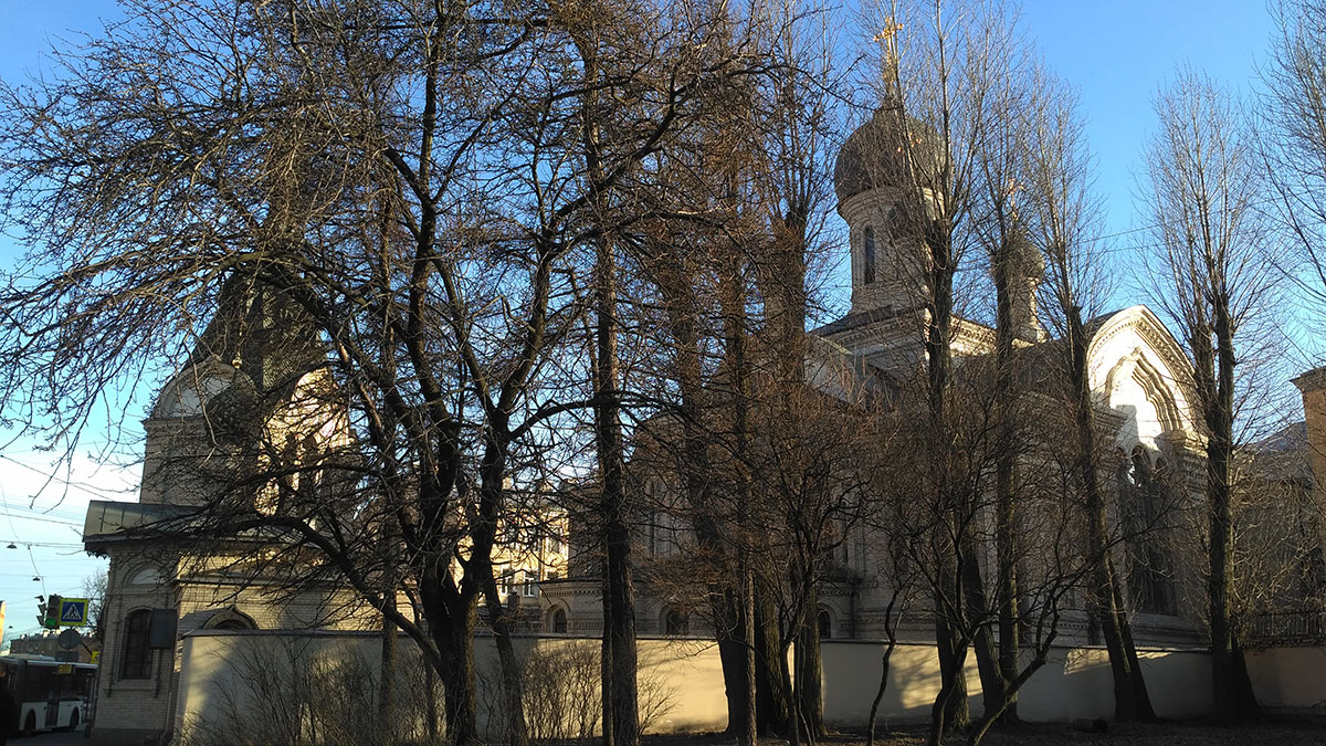 IMG_20210414_184532.jpg
