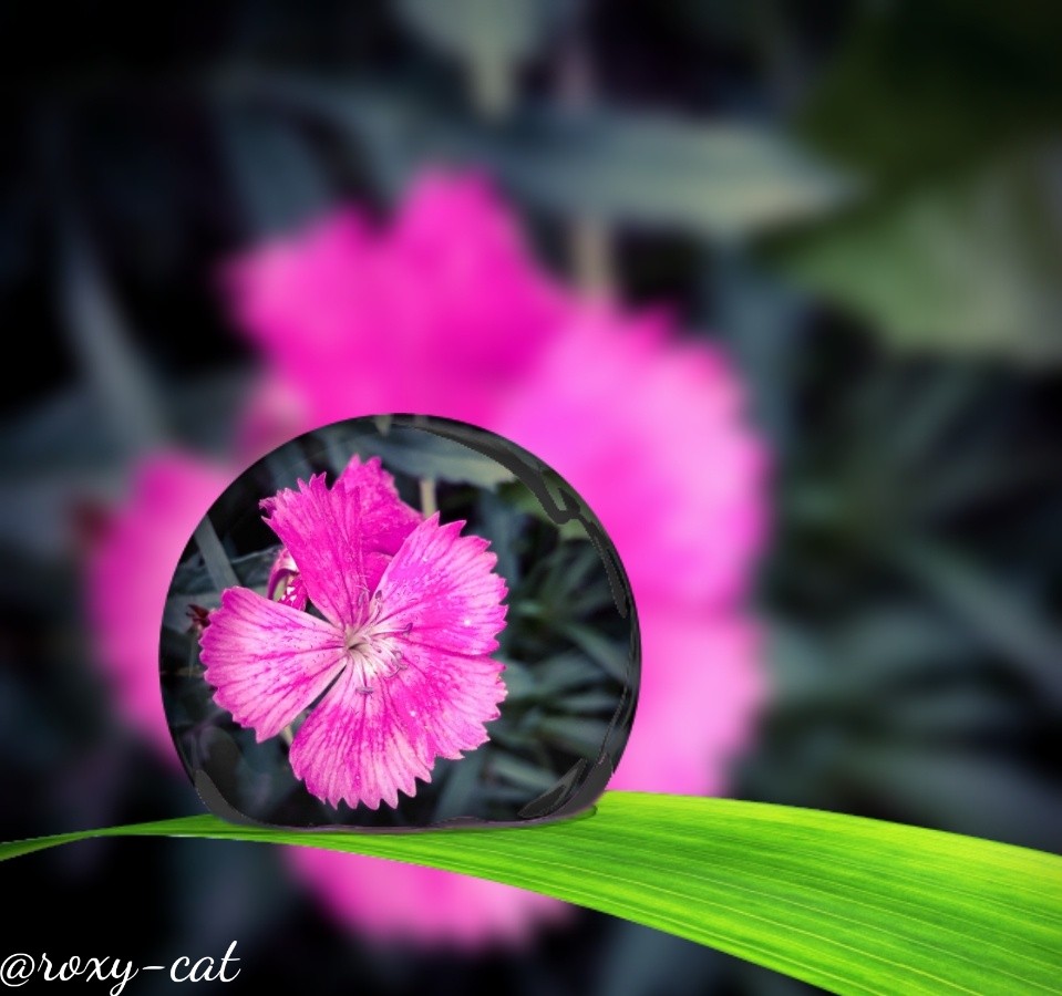 WaterMark_2018-11-17-18-27-40.jpeg
