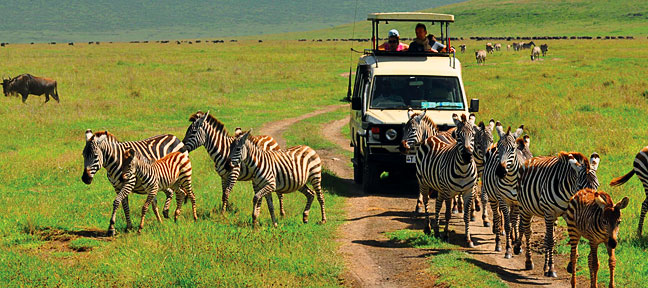 Best tourist attractions not to miss on tour safari Tanzania.jpg