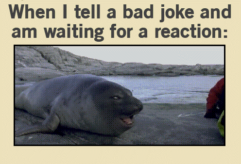 funny.gif