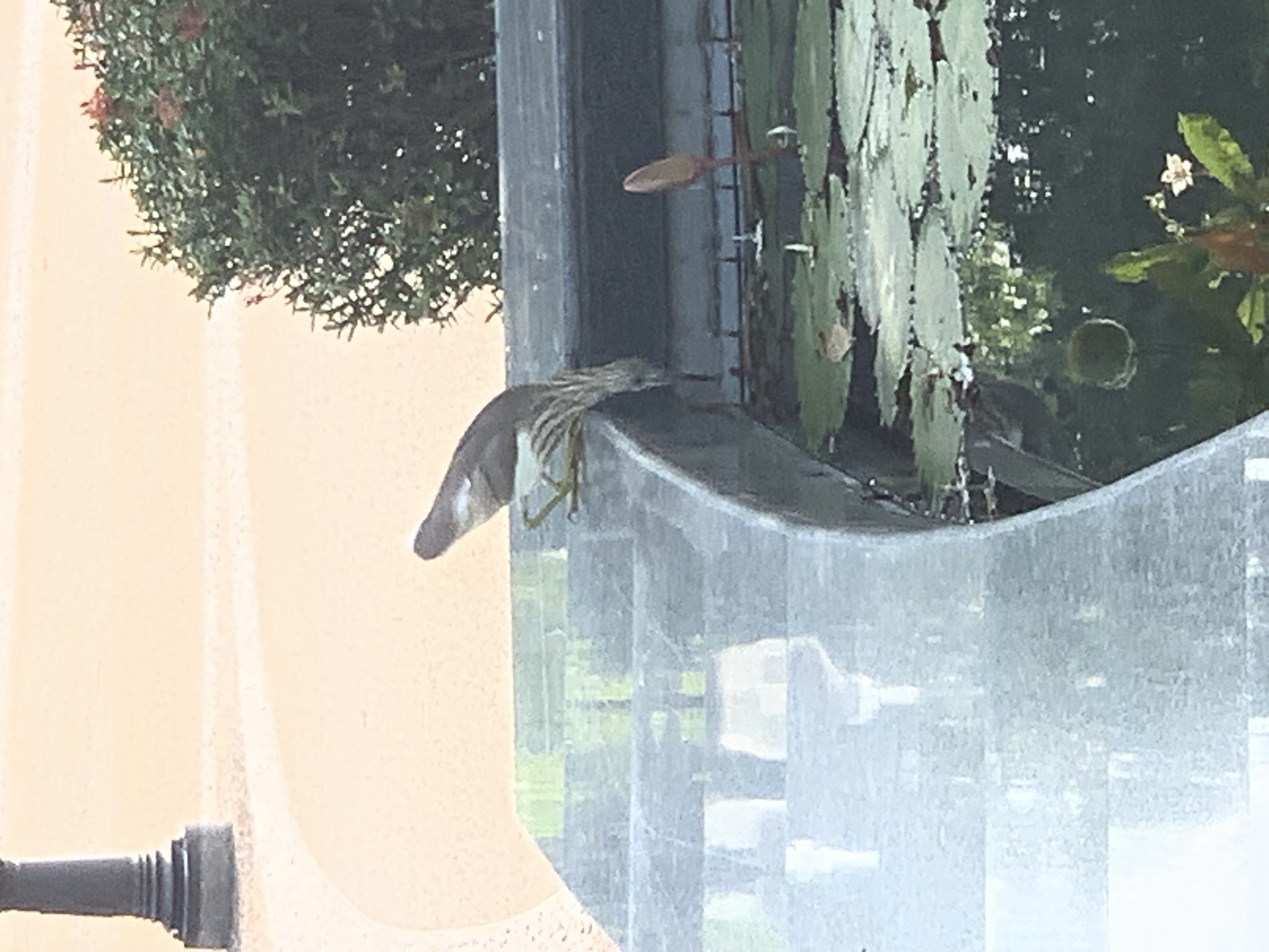 birdwatching spots2.jpg