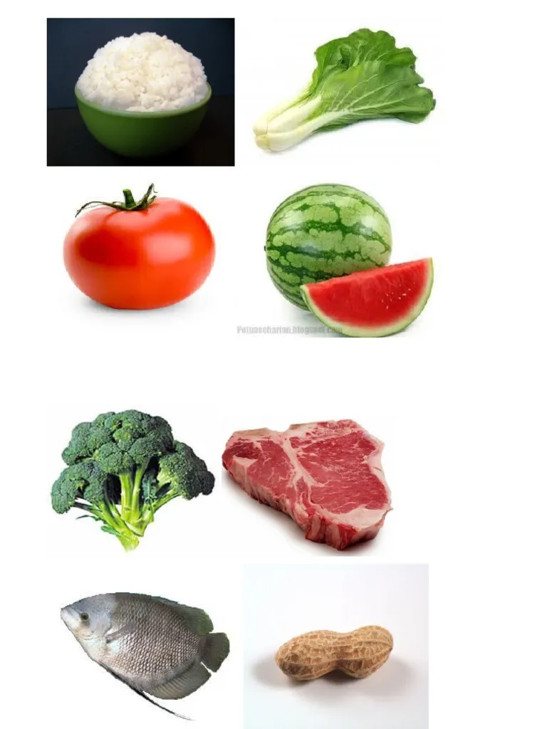 gambar.png
