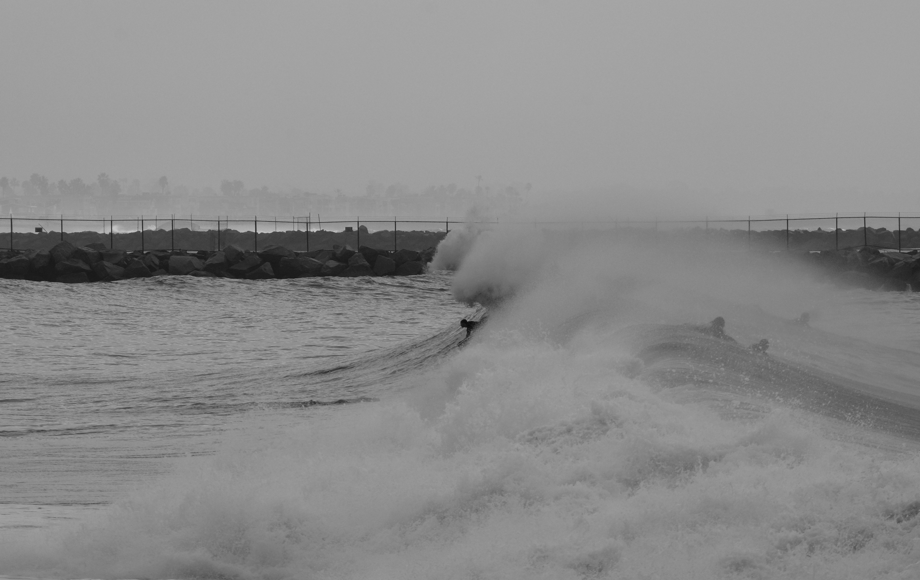 _DSC3488.JPG