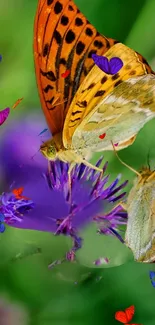 image_search_1735628498999.webp